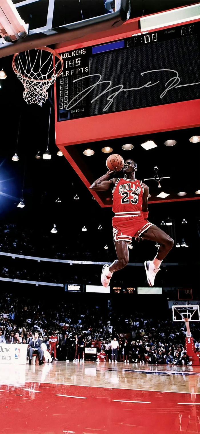 不仅反映了 不仅反映了