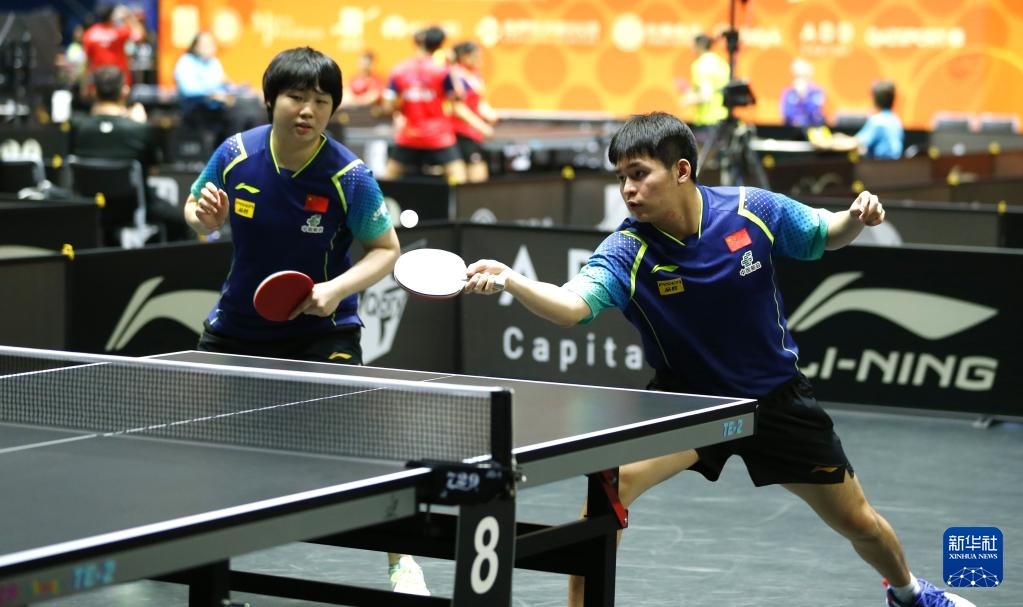 帕塔不仅在 帕塔不仅在