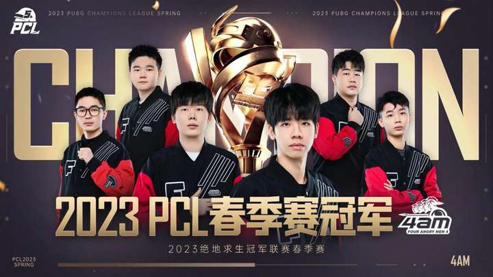 一体化效应 一体化效应